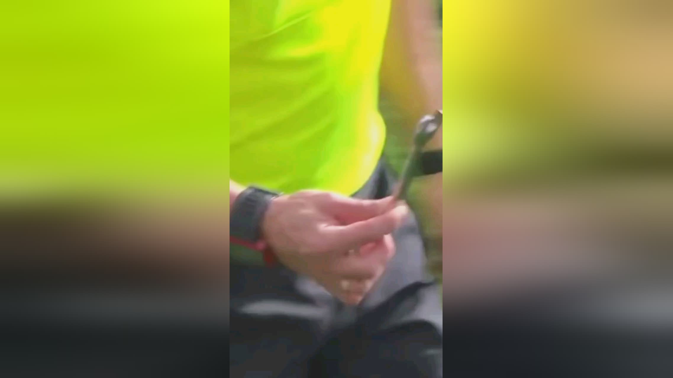 态若长期延