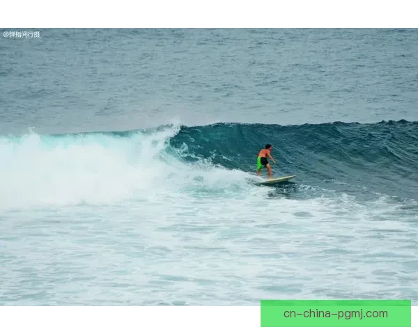 全球冲浪高手榜：探索海浪之巅