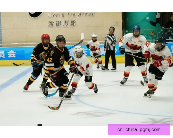 冰球杯赛：热血对决，擂台争霸！