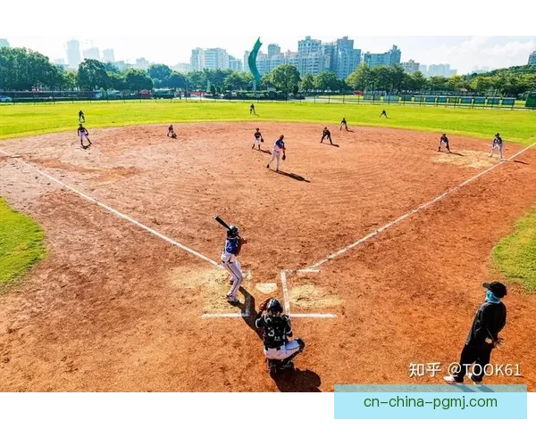 学习棒球基础技术和规则指南