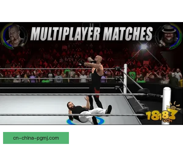 搏击传奇：摔跤大奖赛全面解读