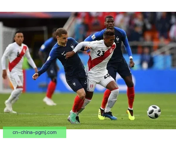 摔跤数据分析：揭秘冠军胜负之道