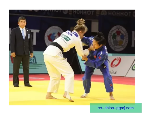 柔道大奖赛：技压群雄，巅峰对决