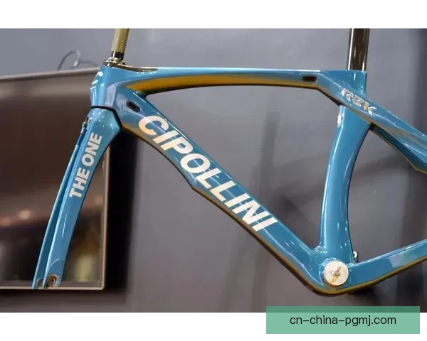 深度解析铁人三项数据特征及趋势 深度解析铁人三项数据特征及趋势