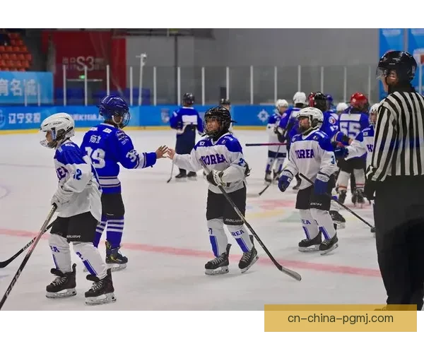 激情四射！全新冰球邀请赛，精彩纷呈！