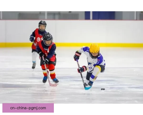 火热对决！全新冰球联赛引爆冰场狂潮