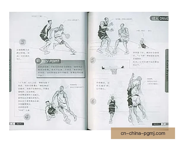 篮球投注技巧大揭秘：助您成为投注高手