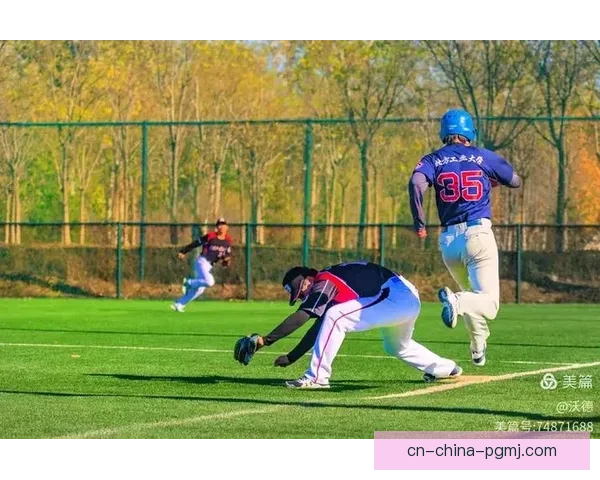 精彩回放：棒球赛事掠影