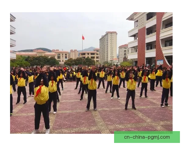 精彩绽放！体操公开赛璀璨之光