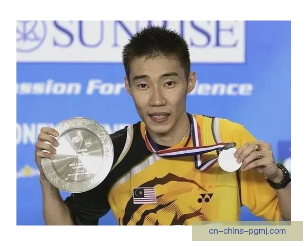 羽毛球盛宴：挑战高手，创造传奇