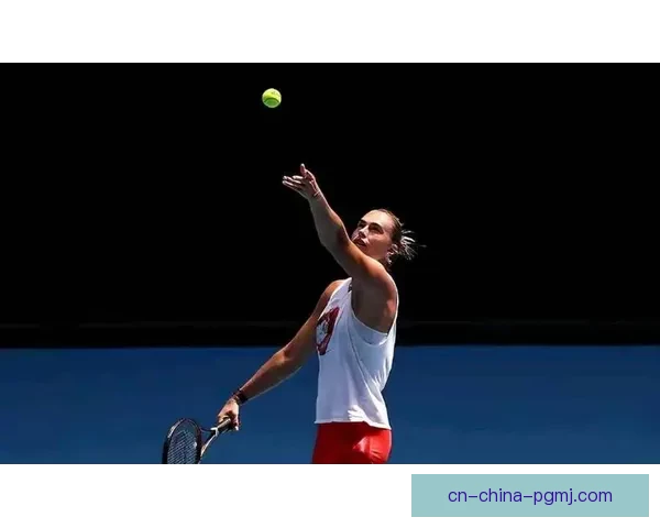 网球赛场上的精彩瞬间汇聚：挑战巅峰，锻炼技艺，追寻胜利的激情