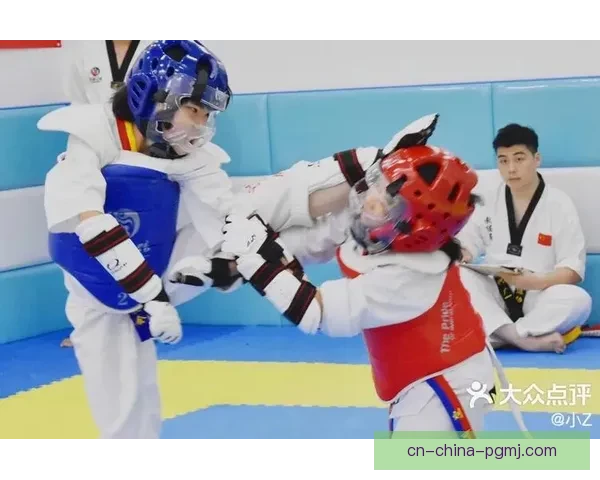 跆拳道高效实战技巧与应用指南