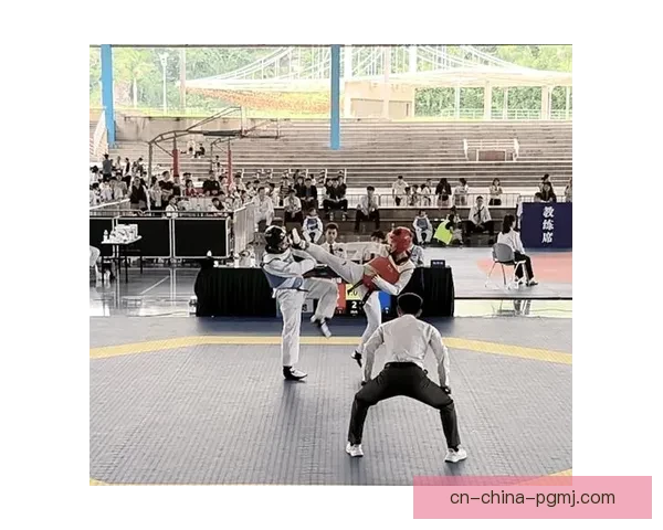 跆拳道世界纪录：速度、力量、技巧的巅峰对决